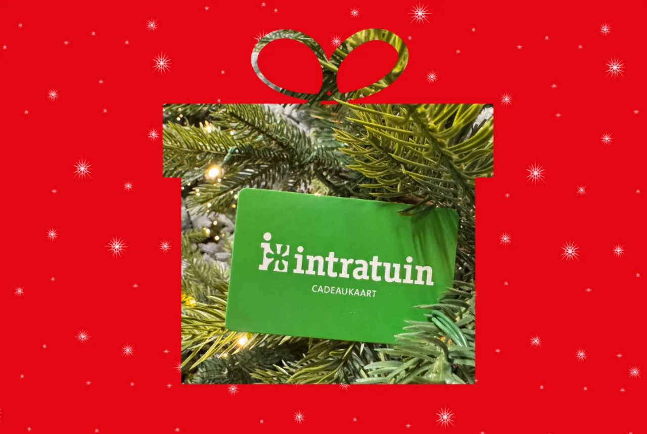 Intratuin - Uit in Enschede