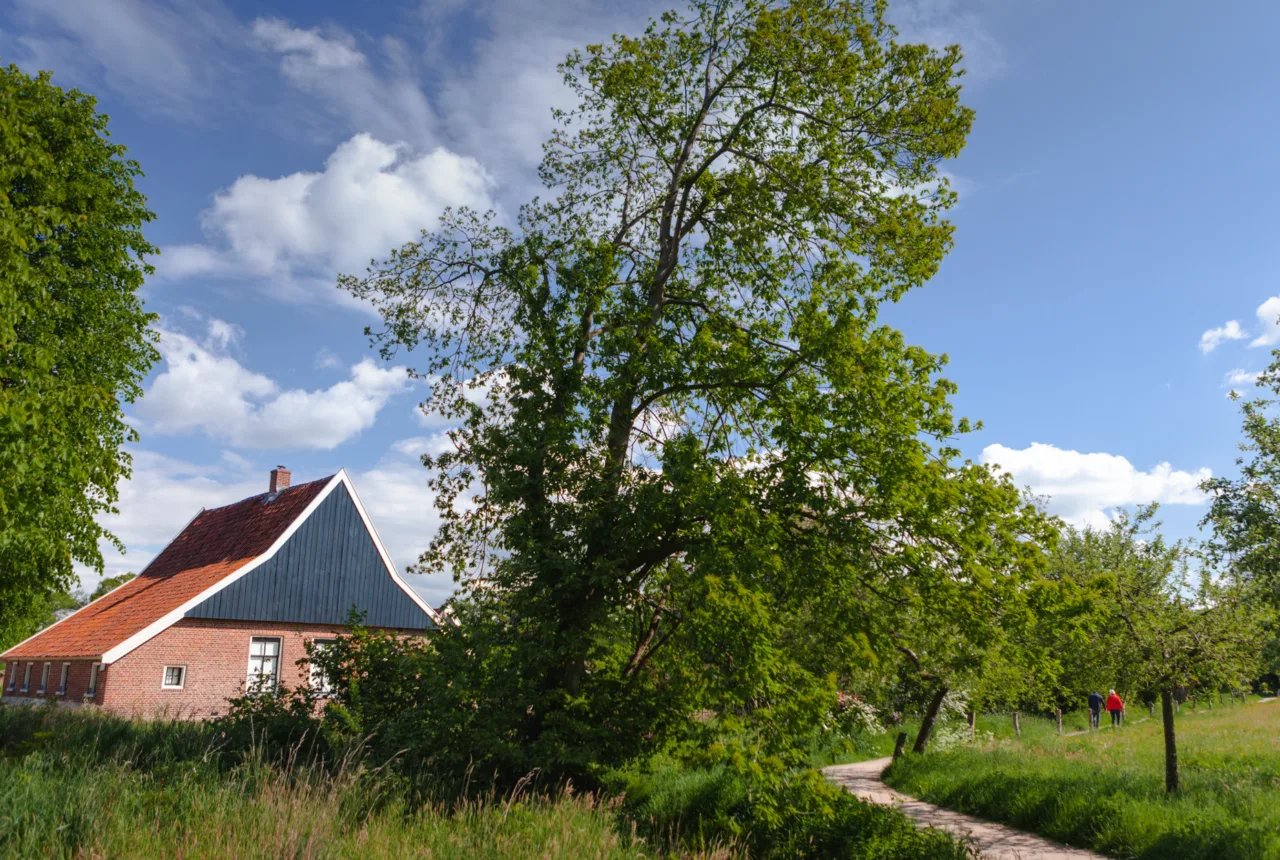 Abraham Ledeboerpark in Enschede - Uit in Enschede