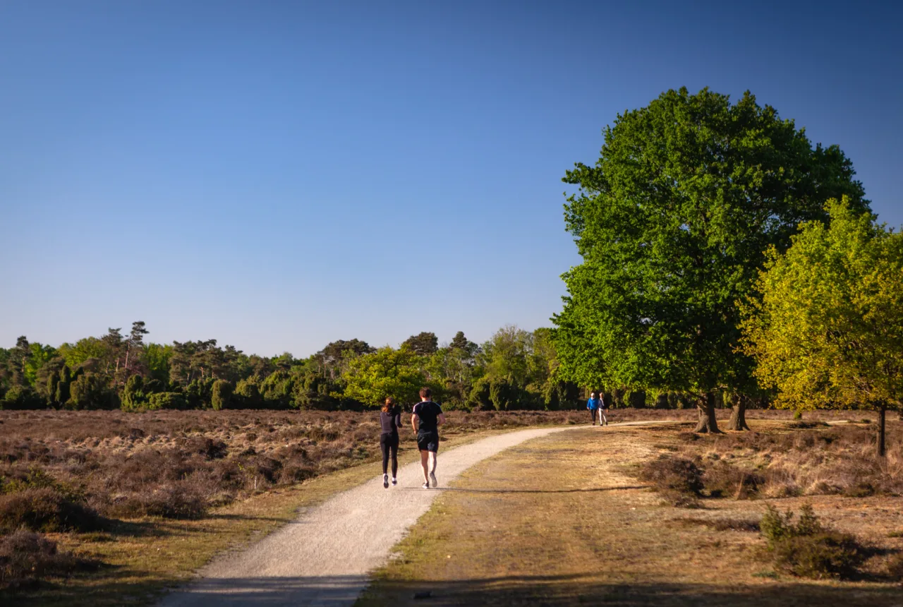 Buurserzand in Enschede - Uit in Enschede