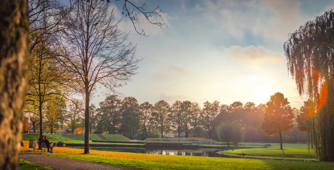 Herfst in het Volkspark Centrum Enschede - Uit in Enschede