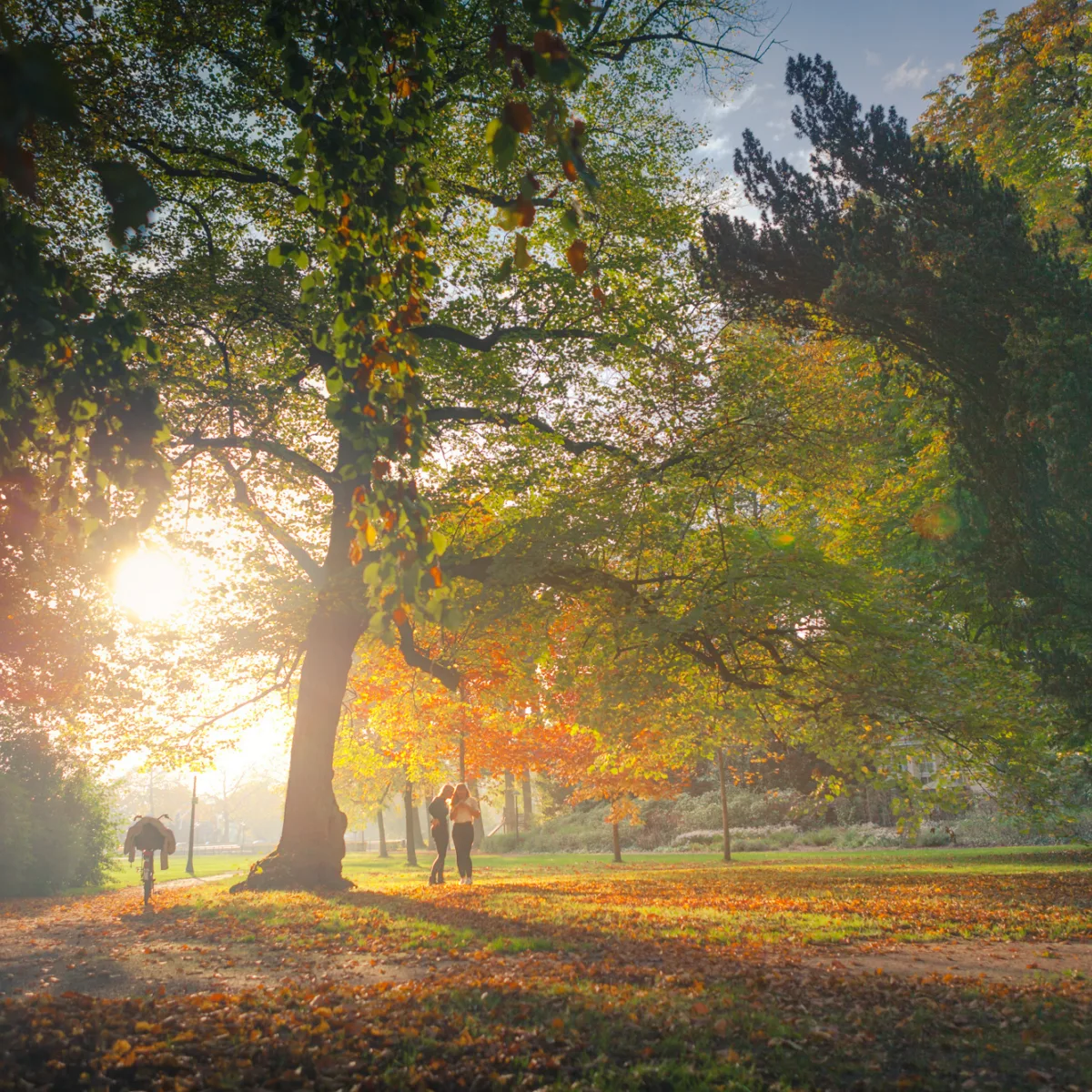 Herfst in het Volkspark in Enschede. - Uit in Enschede