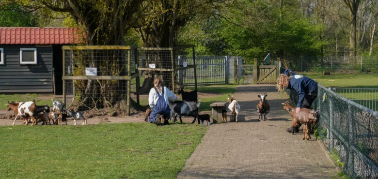 Kinderboerderij Noord Zij maken Enschede 2026 LR 1 27 - Uit in Enschede