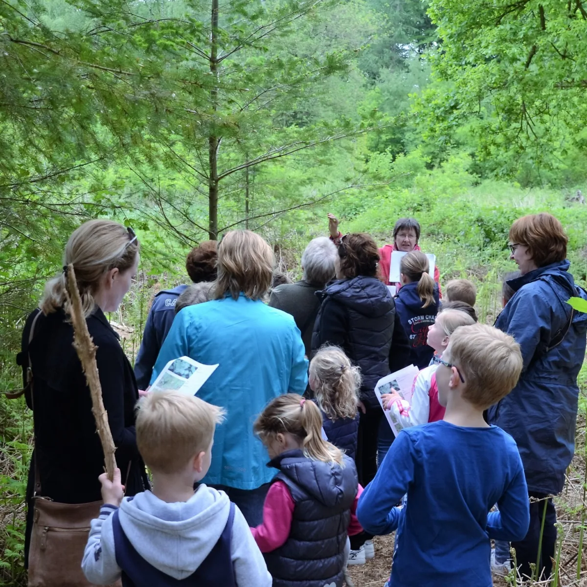 Op bomenexpeditie op Hof Espelo