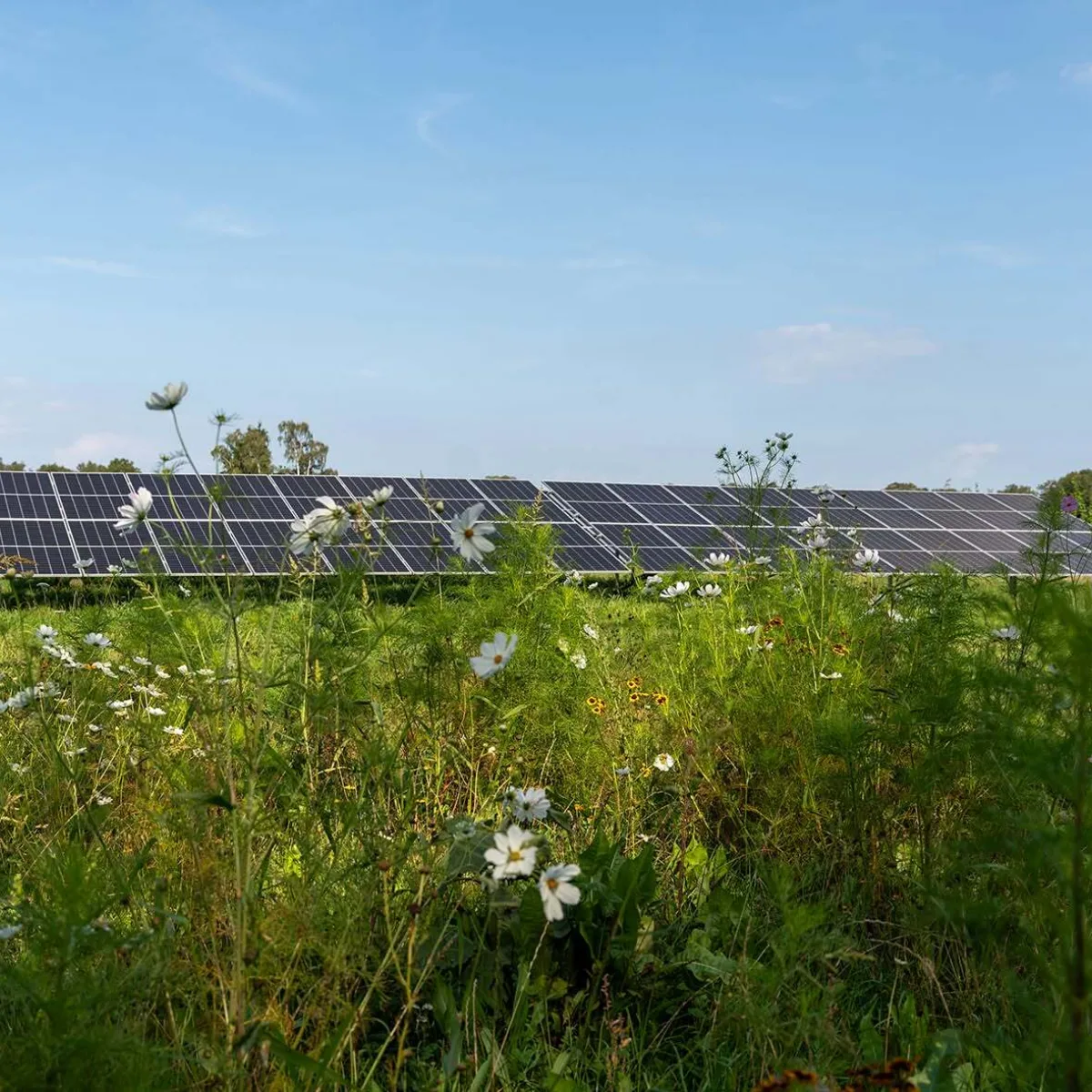 Open Energiedag Enschede