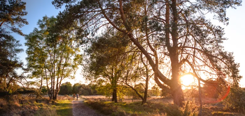 Zonsondergang Buurserzand Enschede - Uit in Enschede