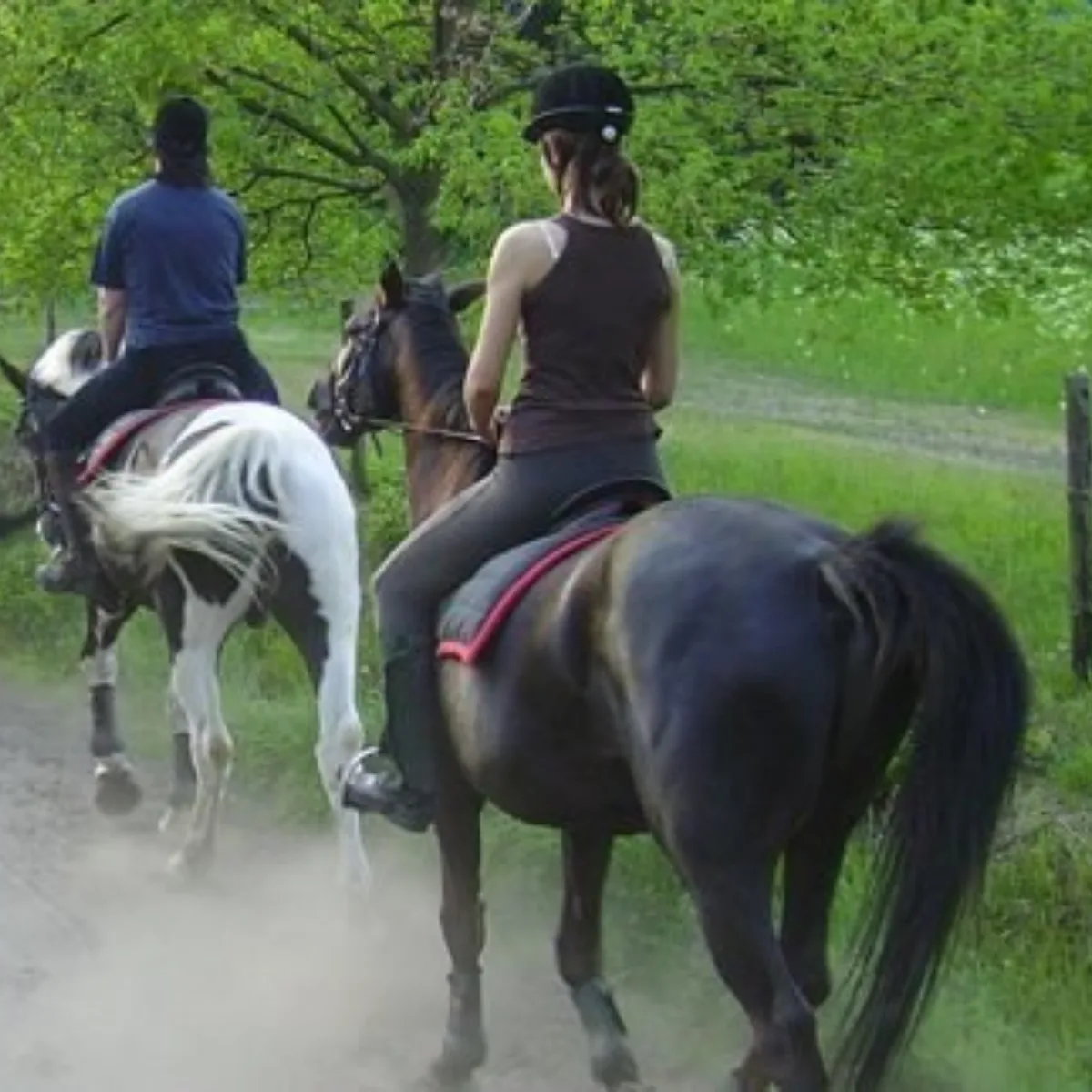 Manege de Horstlinde Enschede - Uit in Enschede