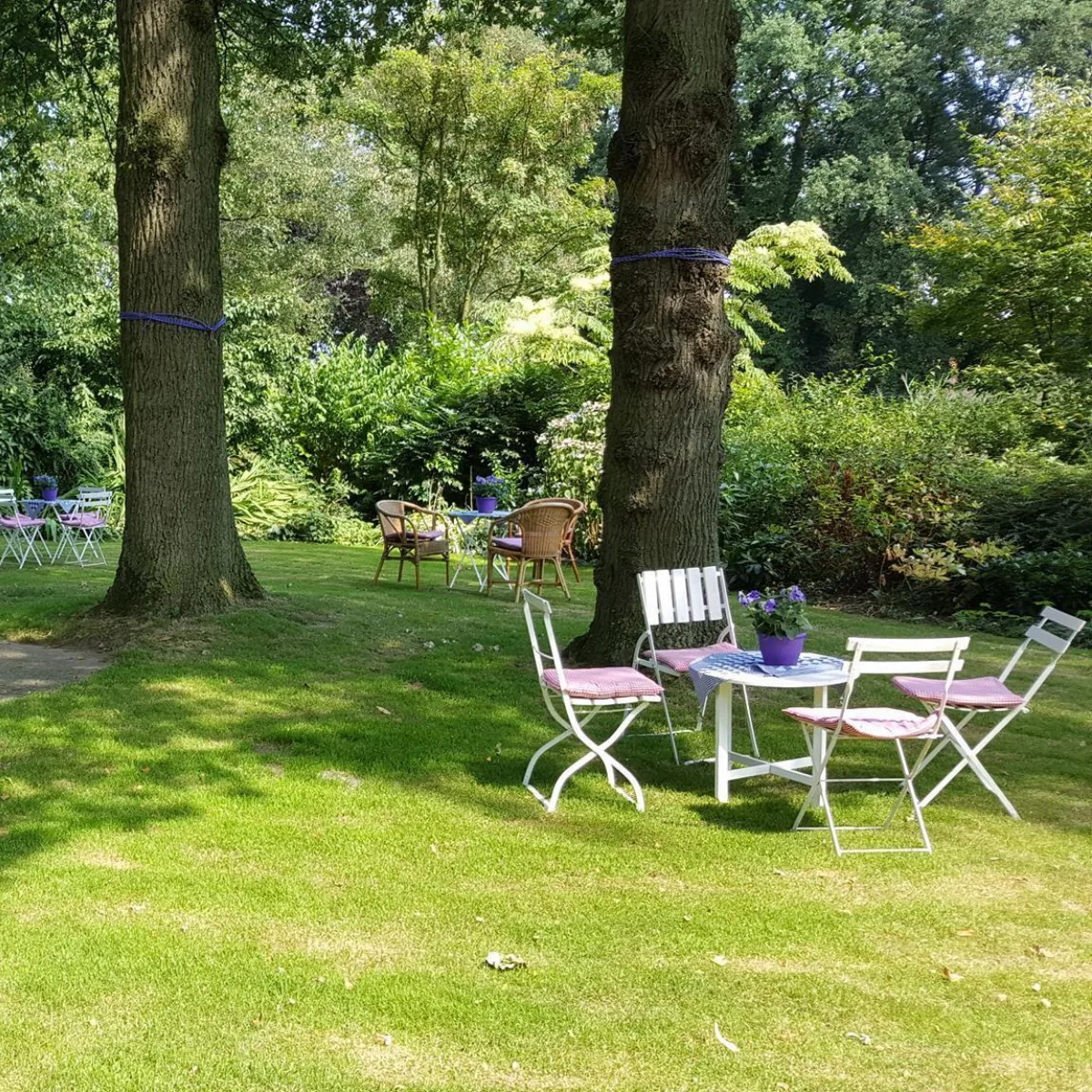 Der grüne Garten mit Bäumen und Sitzgelegenheiten bei Teegarten Schuifs Aan in Enschede - Uit in Enschede