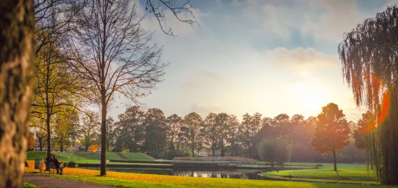 Herfst in het Volkspark Centrum Enschede - Uit in Enschede