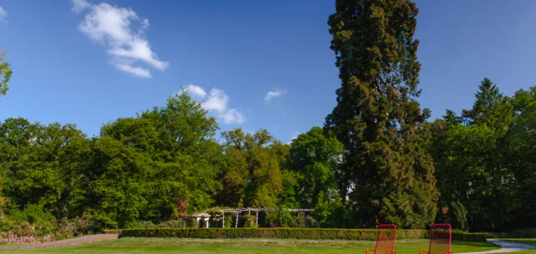 Abraham Ledeboerpark met mammoetboom en rode stoelen in de Lente in Enschede - Uit in Enschede