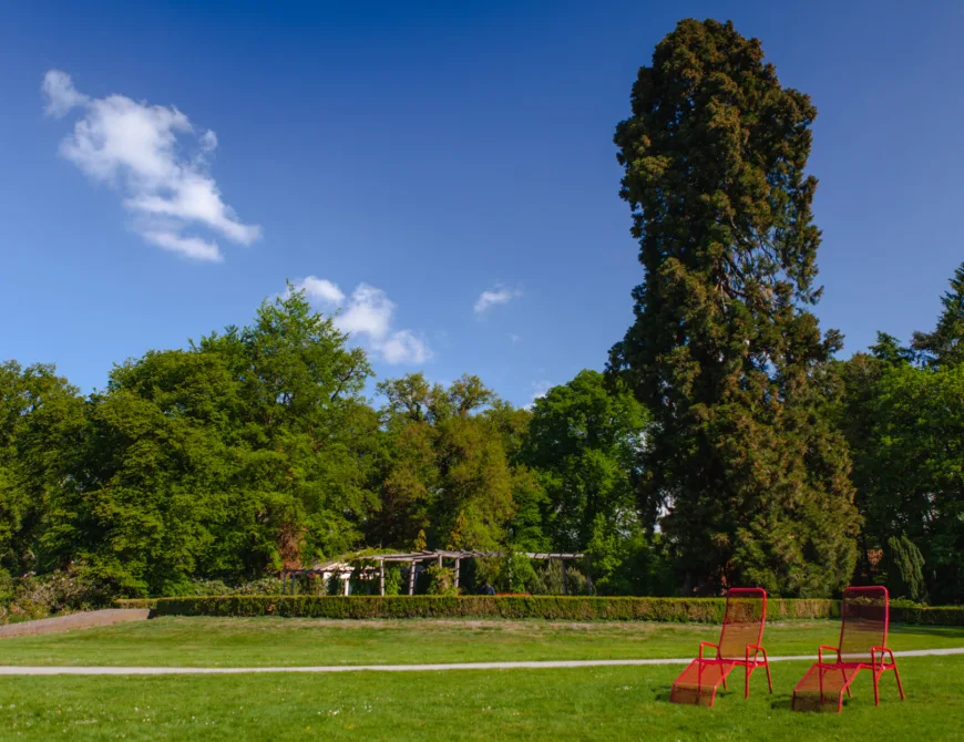 Abraham Ledeboerpark met mammoetboom en rode stoelen in de Lente in Enschede - Uit in Enschede